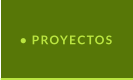 • PROYECTOS